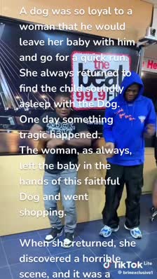 A dog was so loyal to a woman that he would leave her baby with him and go for a quick run. She always returned to find the child soundly asleep with the Dog. One day something tragic happened.
The woman, as always, left the baby in the hands of this faithful Dog and went shopping.

When she returned, she discovered a horrible scene, and it was a complete mess. The baby was not in his crib, his diapers and clothes were in pieces, with blood stains all over the room. In shock, the frightened woman began looking for the baby. Suddenly she saw the faithful Dog emerge from under the bed, covered in blood on all sides and licking his mouth as if he had just finished a delicious meal.

The woman was convinced that the Dog had eaten her baby. Without thinking much, she beat the Dog to death with a piece of wood. So she continued to search to at least find a part of her son's body. Soon she leaves another scene. Behind the bed was the well shaped baby who was naked and enjoying herself on the carpet. Under the bed the woman discovered a snake's body that had been torn apart. It was a fierce battle between the snake and the dog. The dog fought to protect the baby against the voracious snake. It was too late for her now to make amends because, in her impatience and anger, she had killed the faithful Hound.

How many times have we judged people with harsh words and spread lies about them before we had time to assess the situation?

"Always be patient to access the situation and avoid unconditional mistakes that could bring us down."